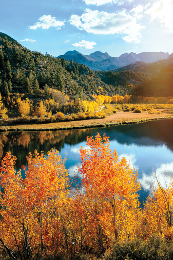 Fall foliage at Convict Lake
