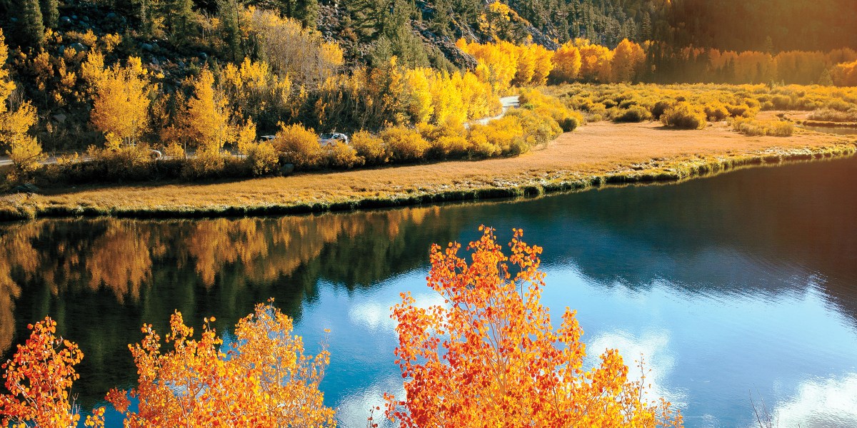 Fall foliage at Convict Lake