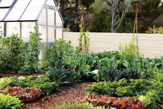 Cornerstone Vegetable Garden Trellis