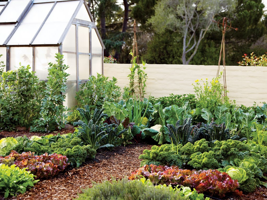 The Ultimate Guide to Vertical Vegetable Gardening