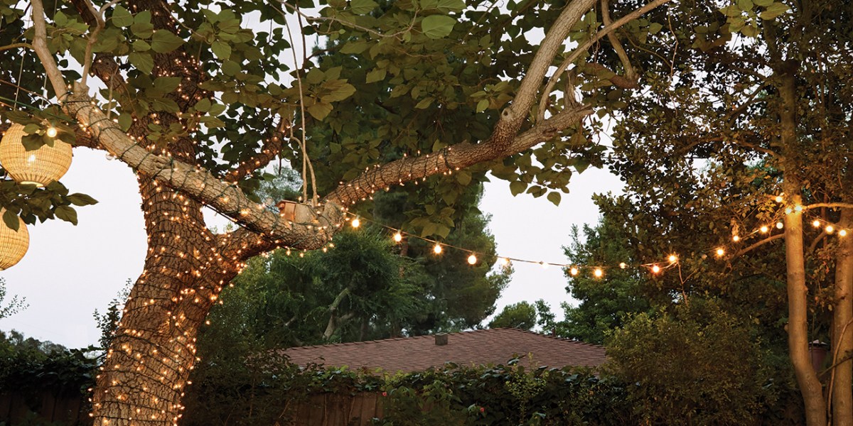 Annie Campbell and Heather Taylor's Families