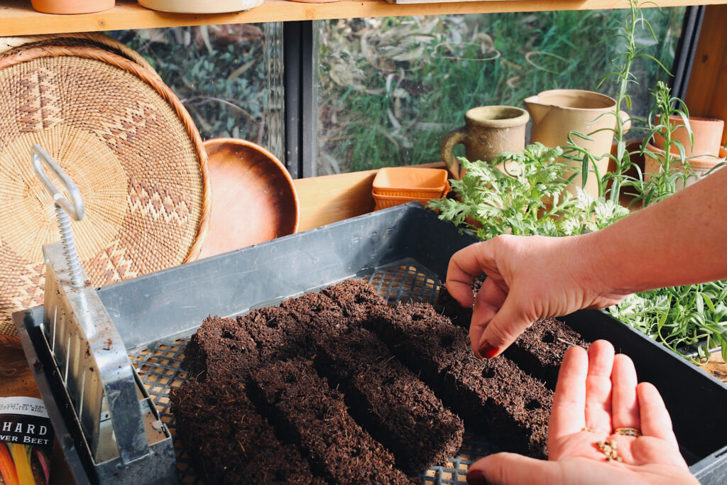 Creating Soil Blocks
