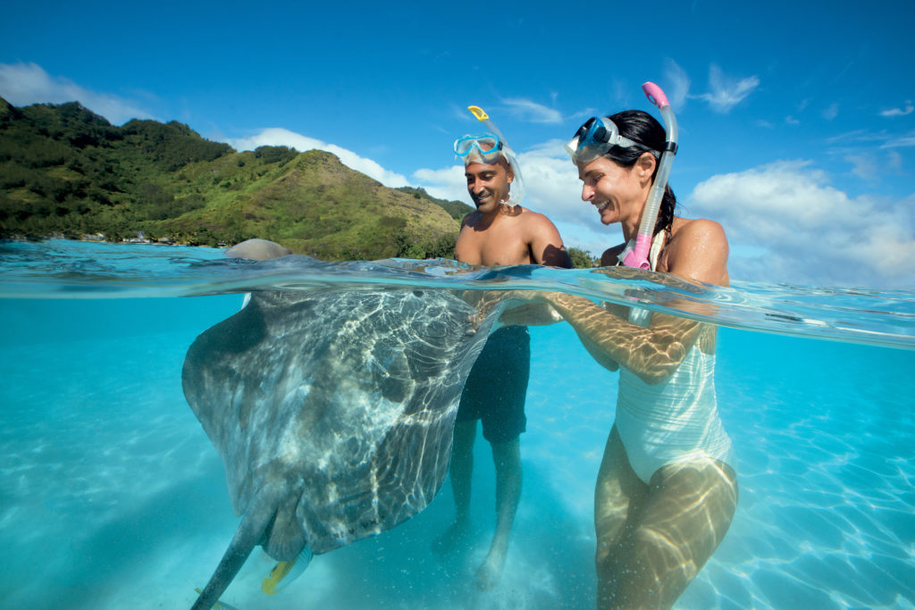 Stingray Expedition