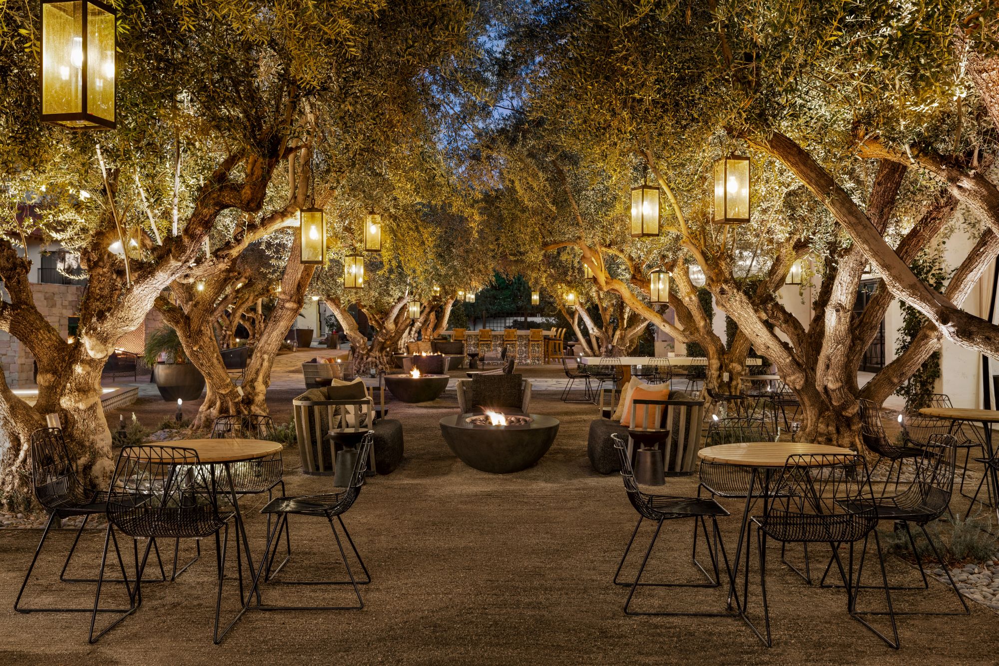 olive-grove-patio
