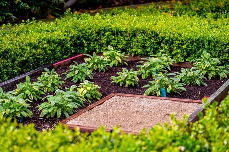 chefs-herb-garden