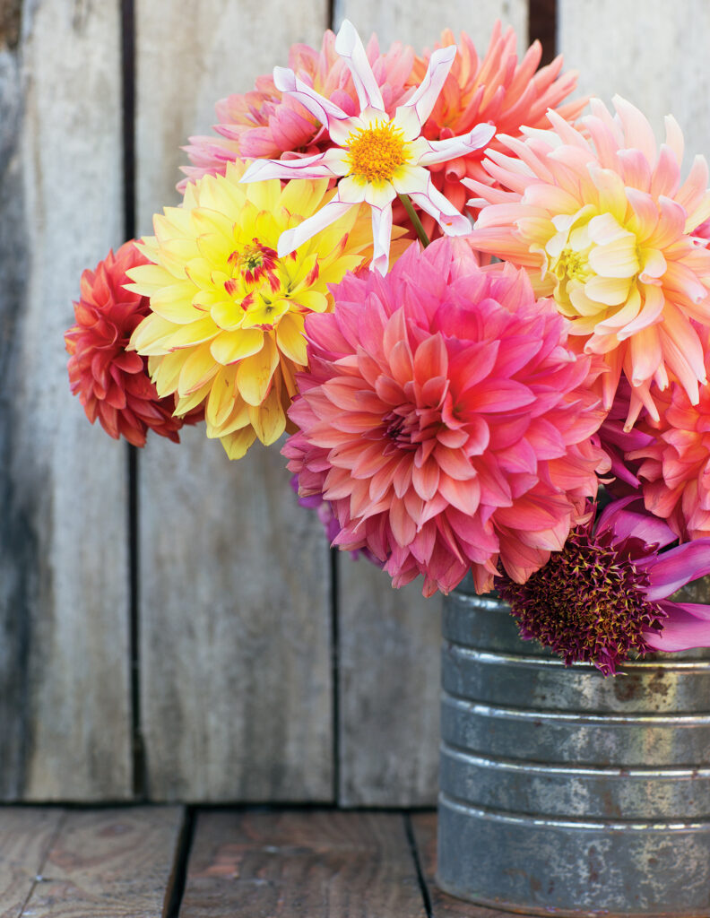 Dahlia Arrangement