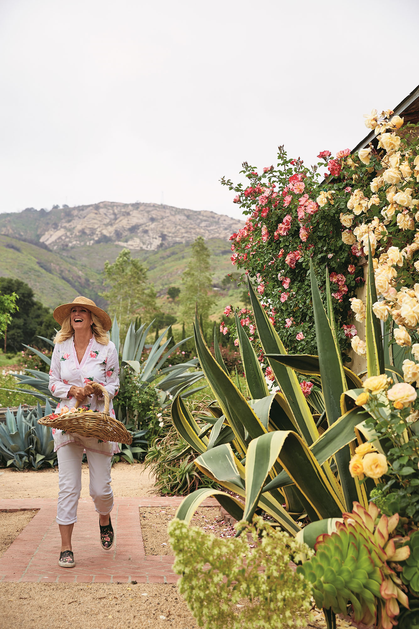 Danielle Dall'armi Hahn