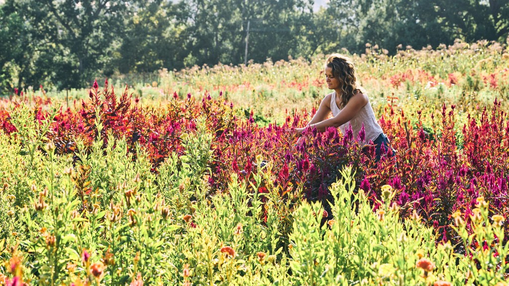 Deadheading Tips Every Lazy Gardener Needs to Know