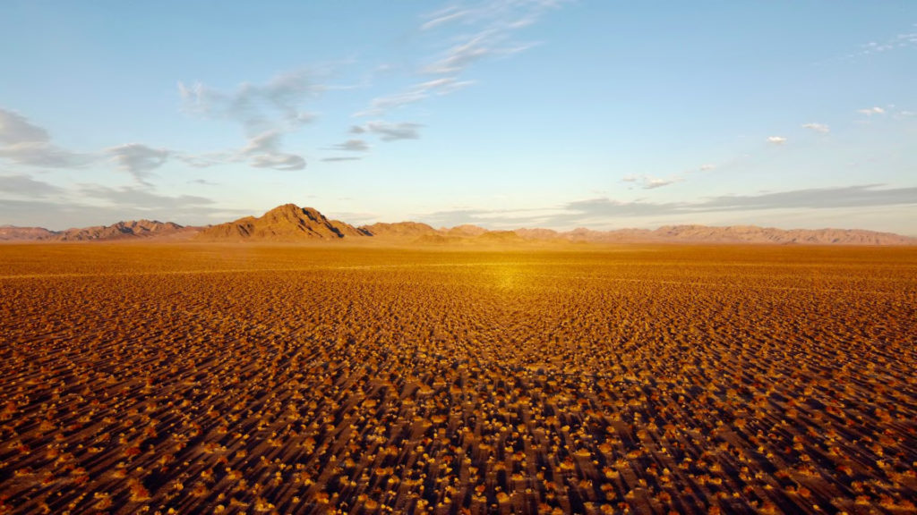 vast desert with mountains in the distance