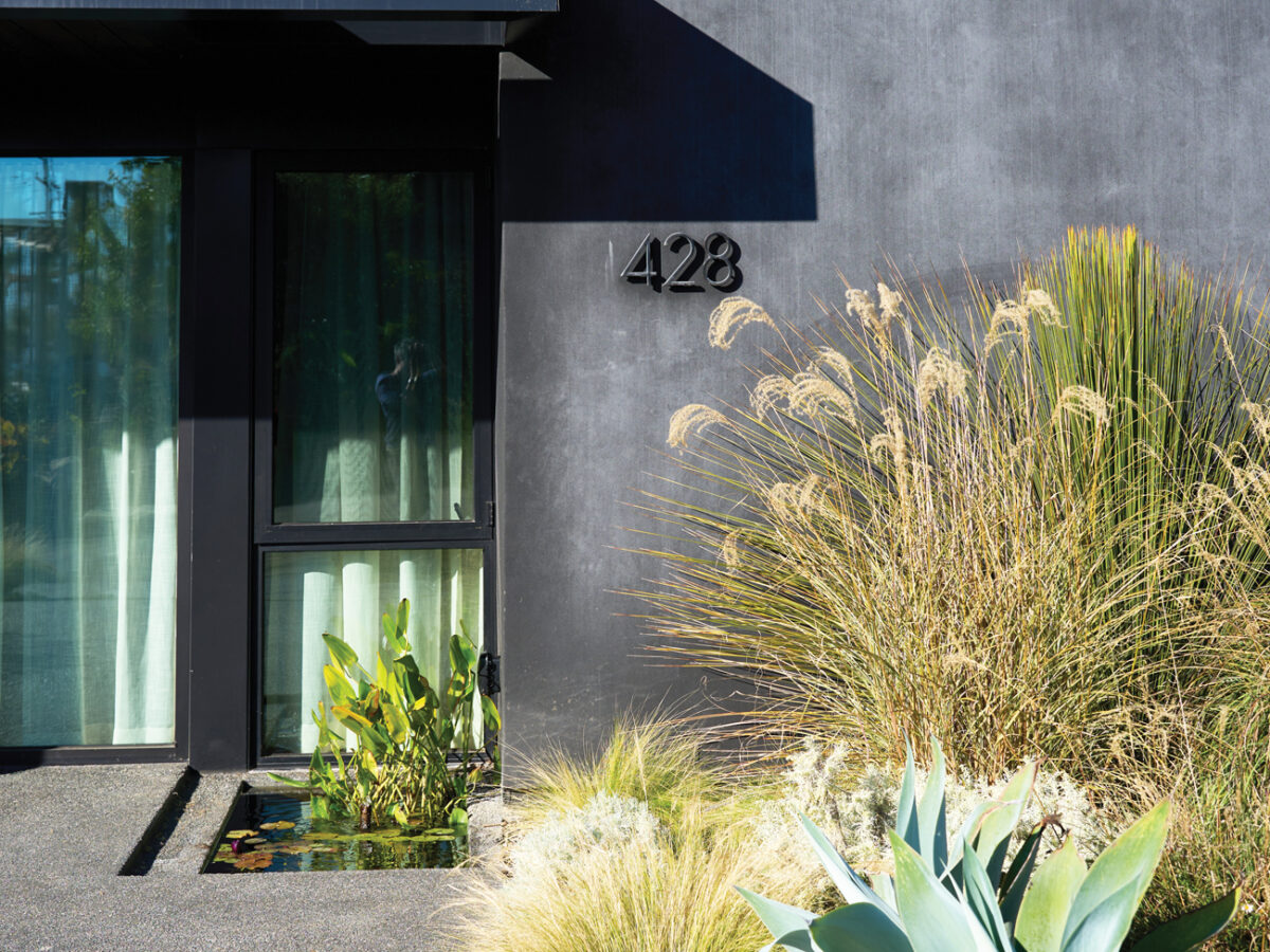Black Plaster Exterior and Garden