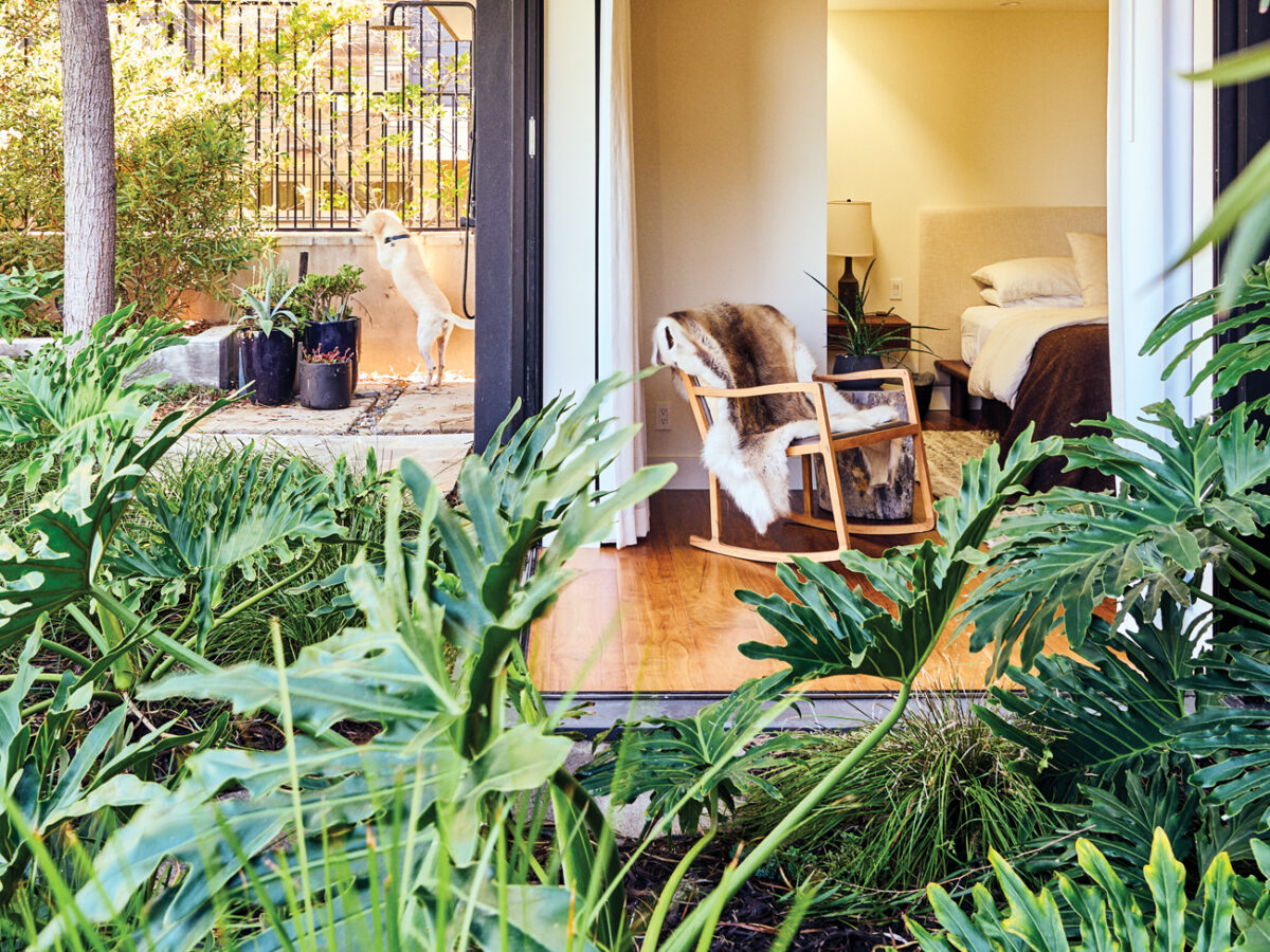 Del Mar Modern Garden