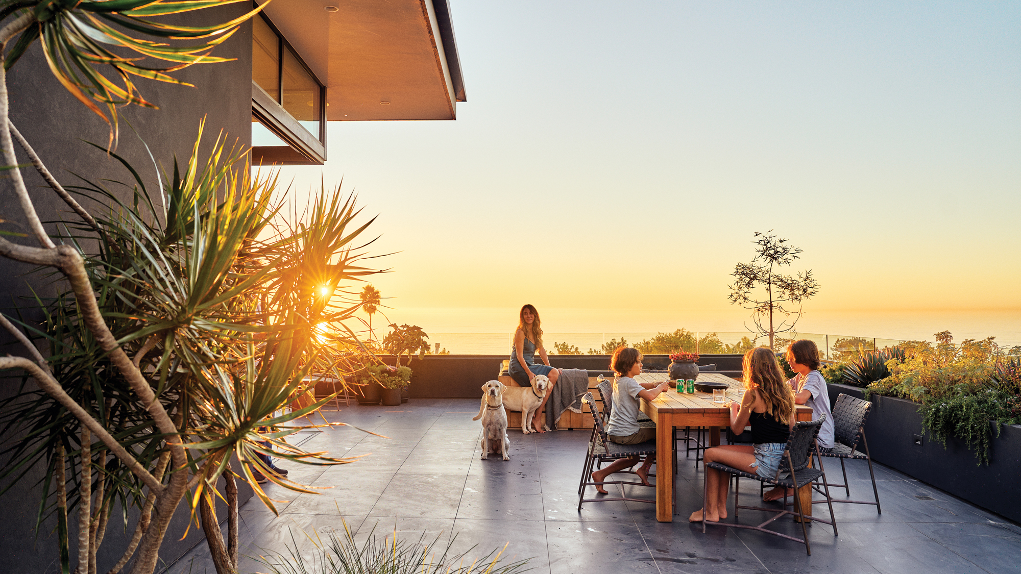 Outdoor Dining and Entertaining Space