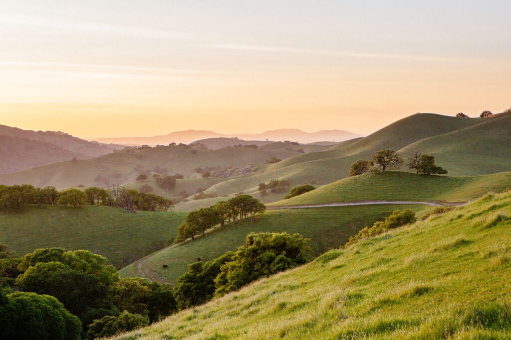 Del Valle Regional Park