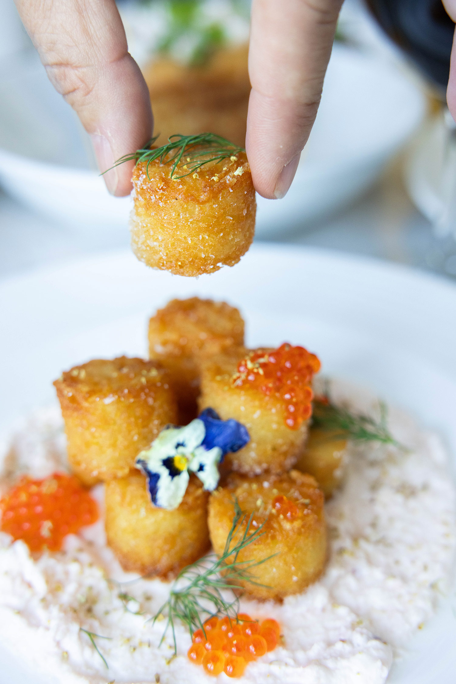 Dish Silverado Resort