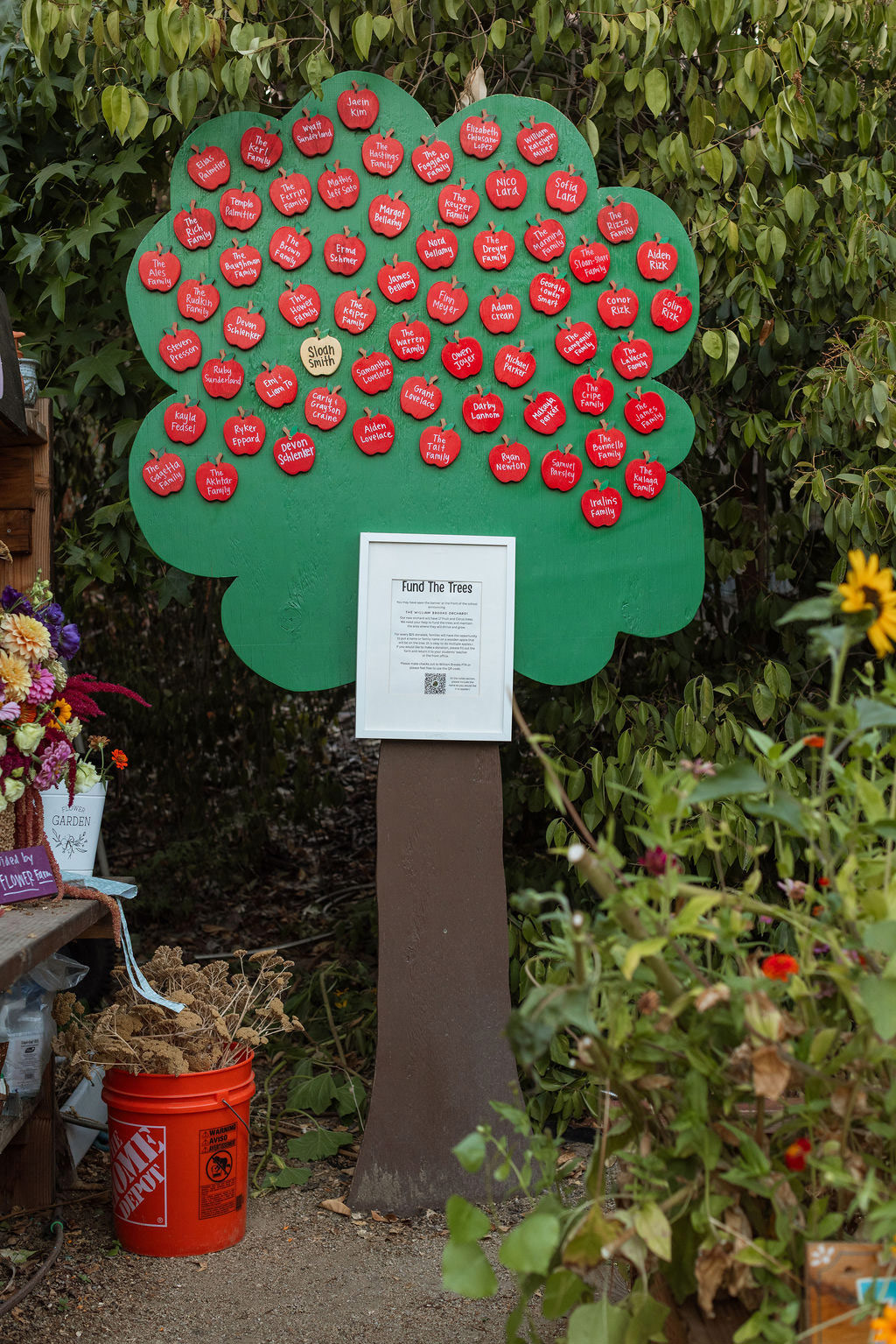 Display School Garden