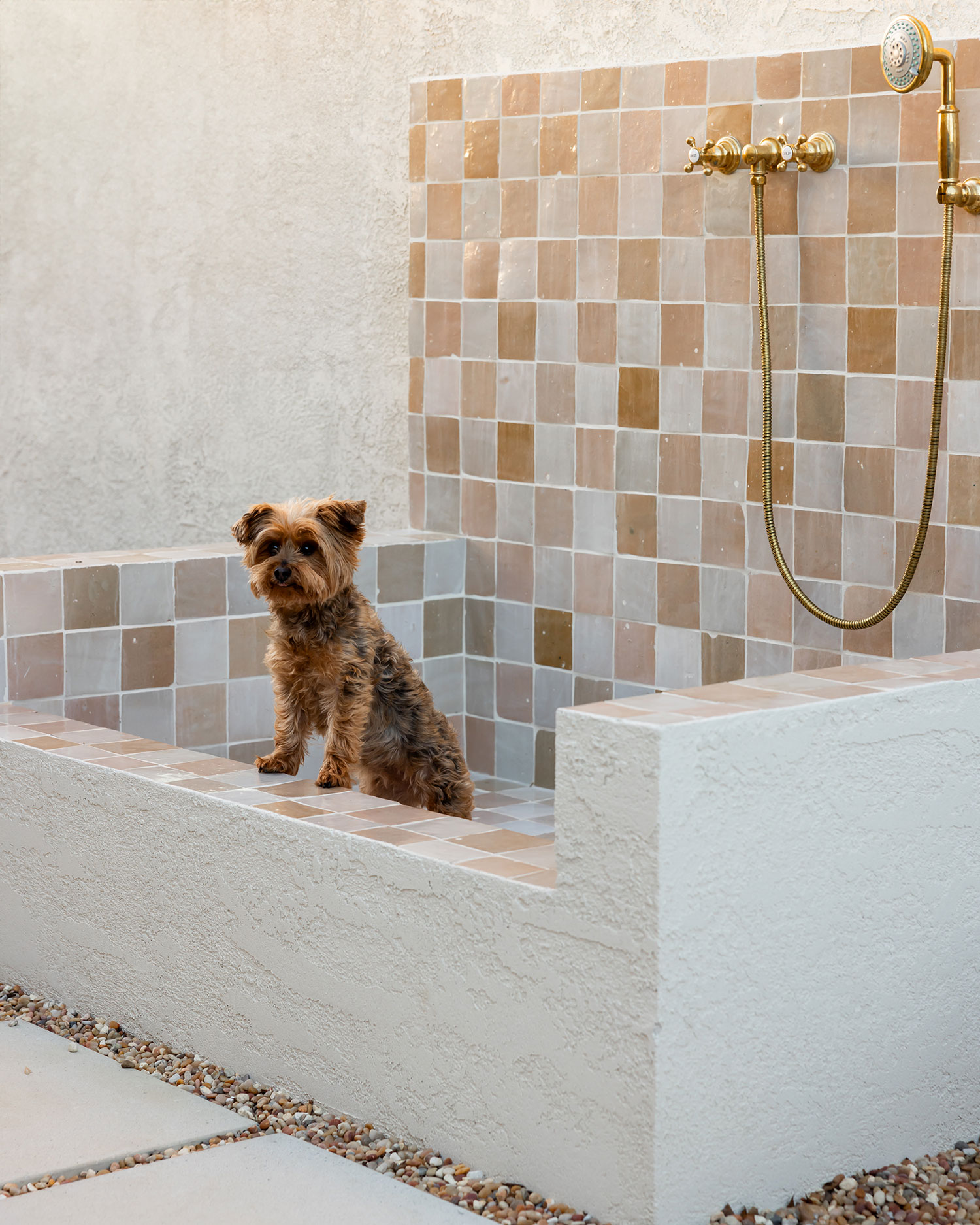 Dog Wash Moorpark Reno by Madison Nicole Design