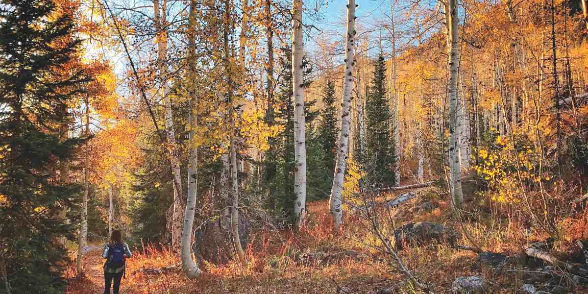 Steamboat Springs, CO