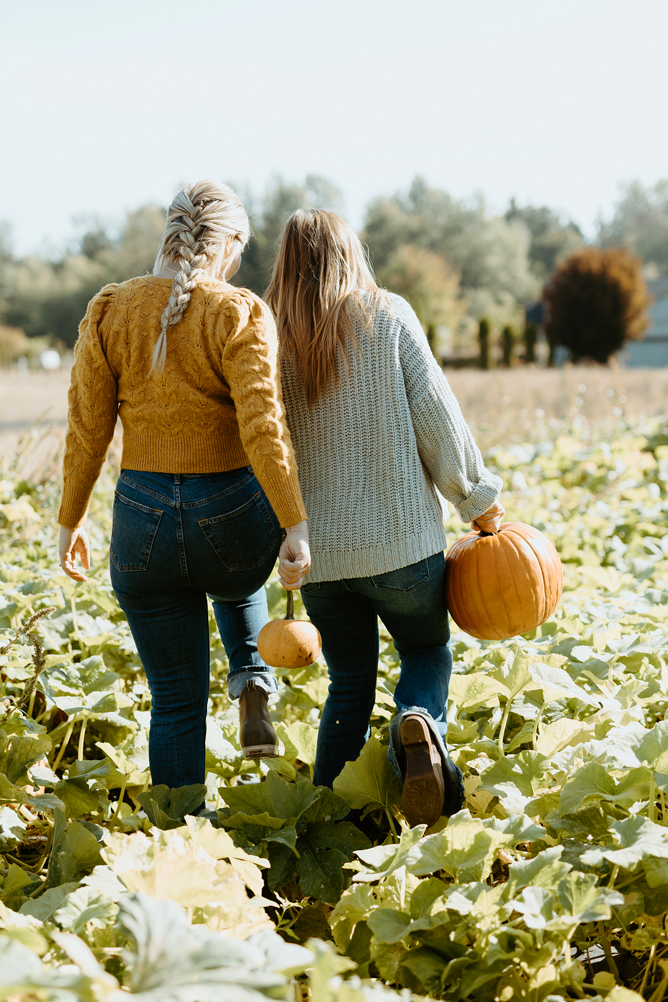 Drink Your Garden Pumpkin Harvesting