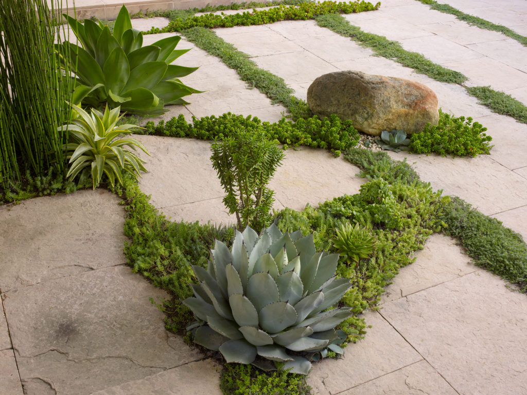Palos Verdes yard with boulder, succulents, walkway