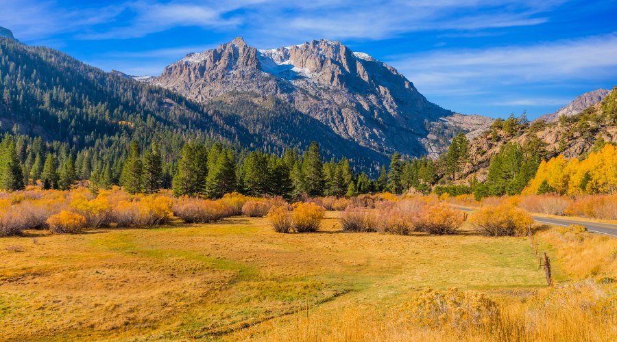 soak-up-eastern-sierras-fall-color