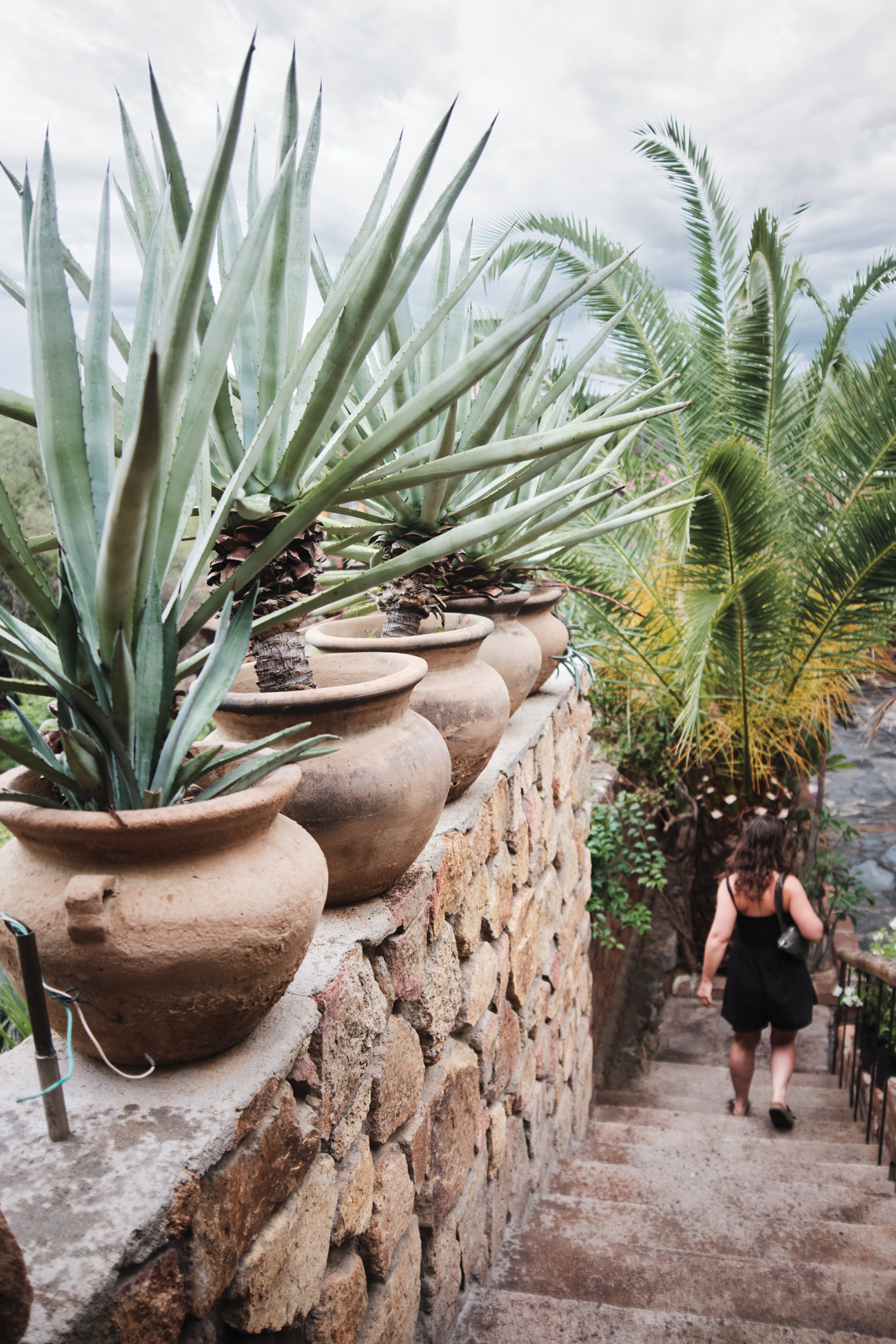 El Triunfo Baja Detail