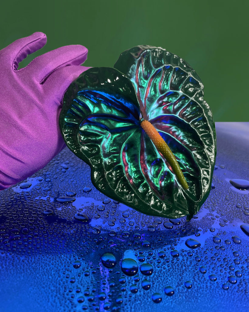 Haus of Stems iridescent glowing flowers