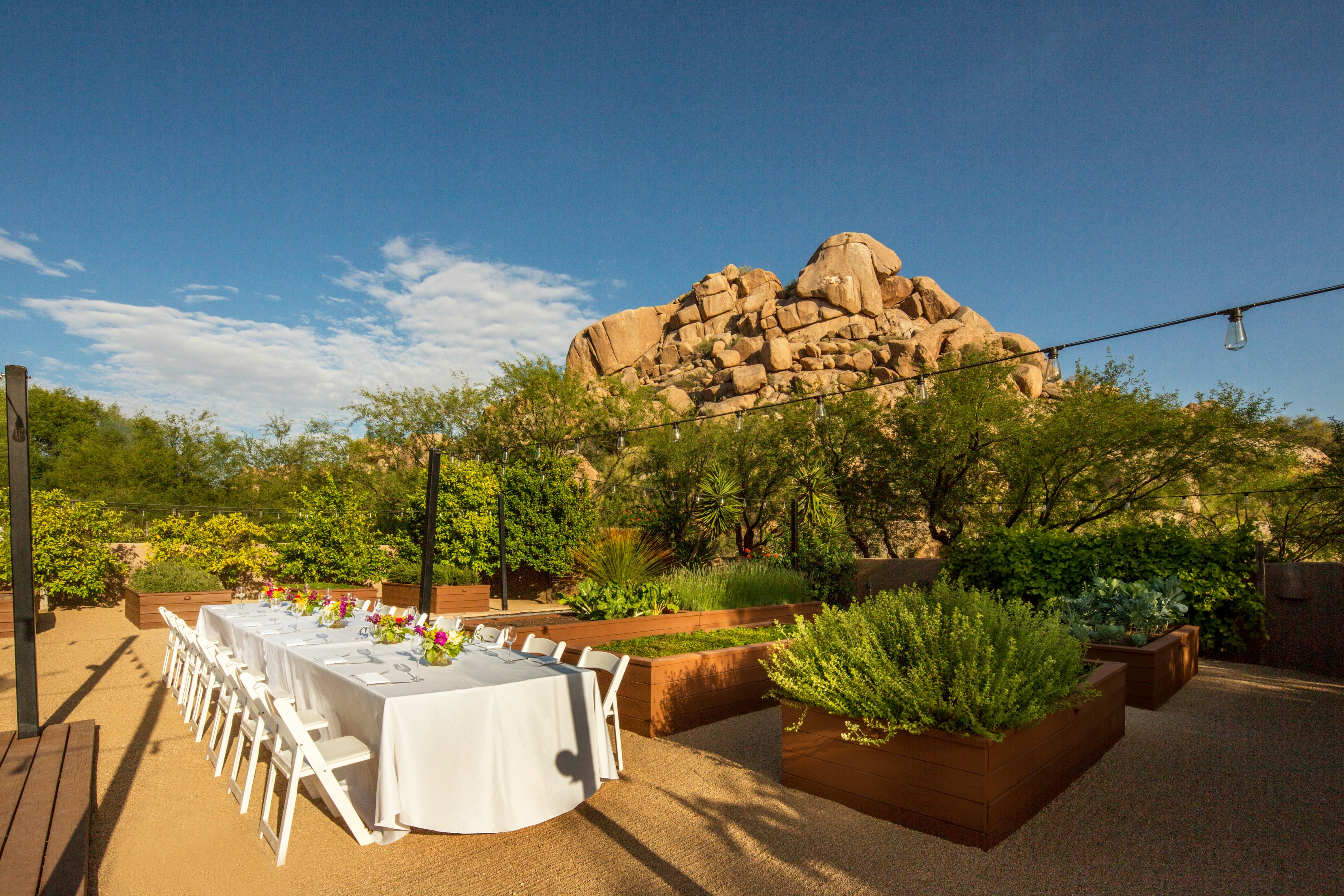 dinner-in-organic-garden
