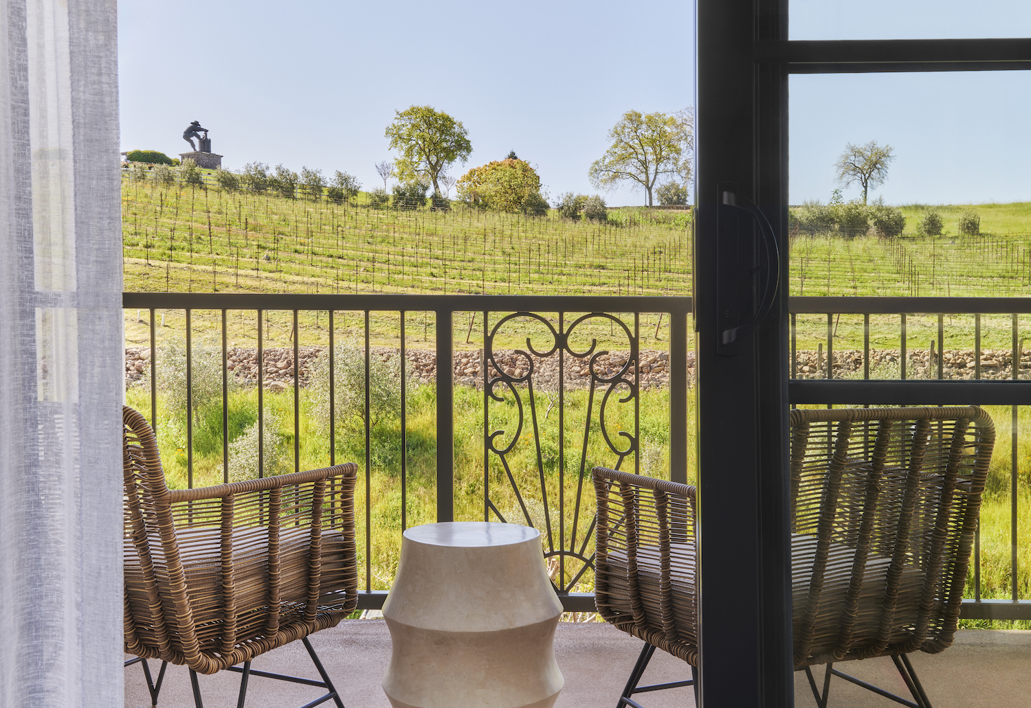 vineyard-views
