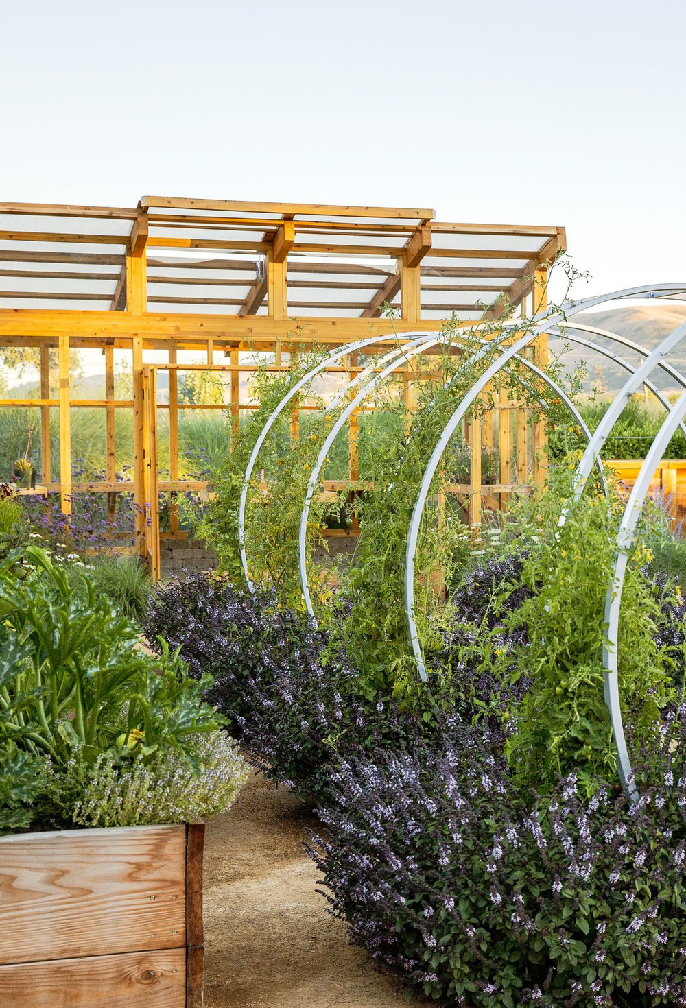 Farm Garden Raised Bed