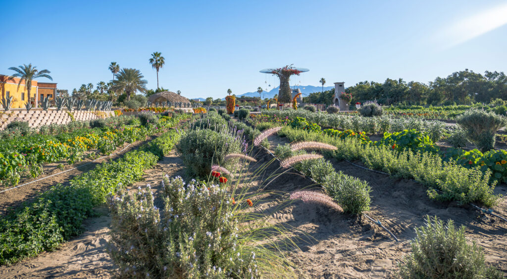 Farm at Villa Santa Cruz