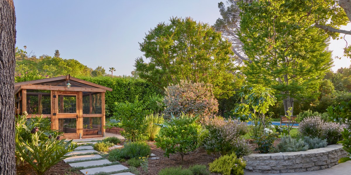 Your End of Summer Garden Bootcamp: 7 Things to Do Right Now