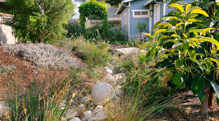 Here's What to Plant and Prep Right Now for a Thriving Fall Garden