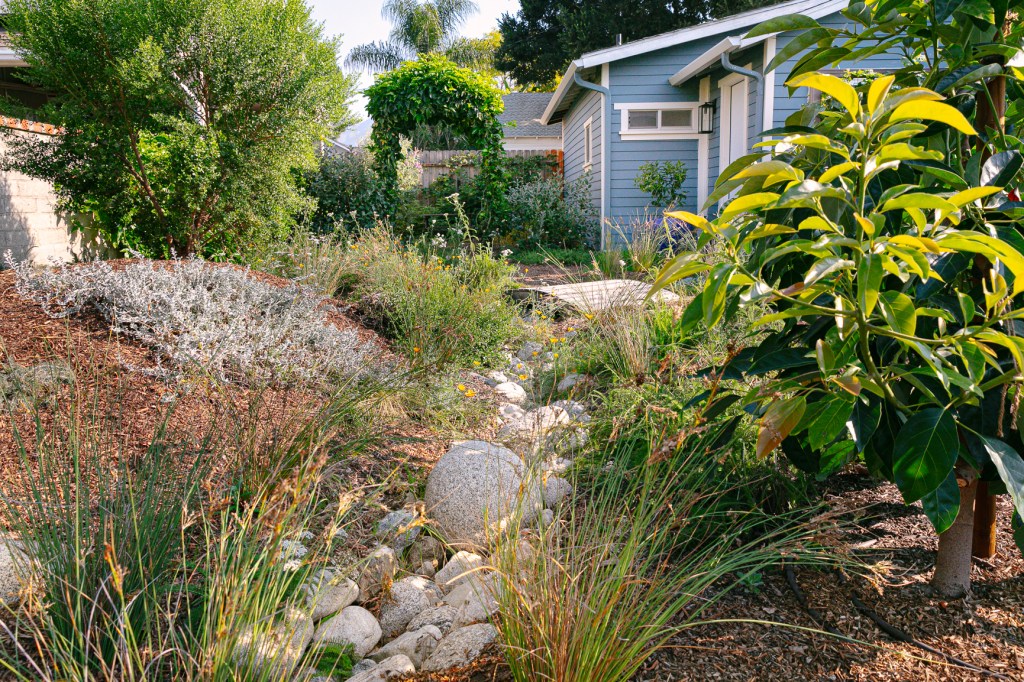 Here’s What to Plant and Prep Right Now for a Thriving Fall Garden