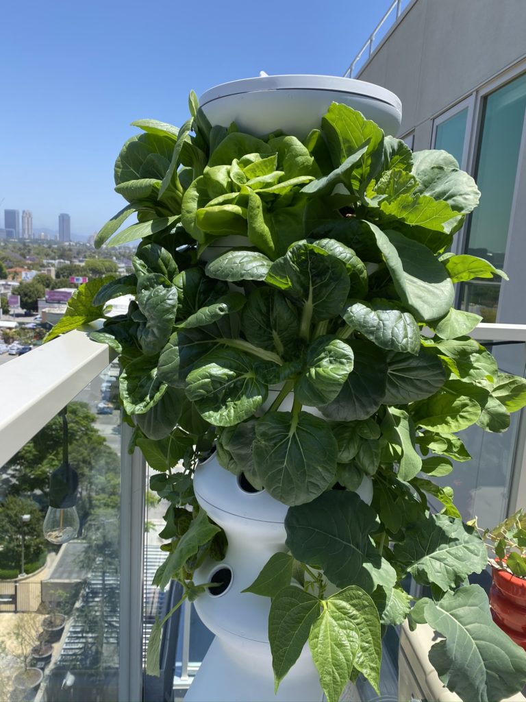 Hydroponic Hack: Lettuce Grow Farmstand