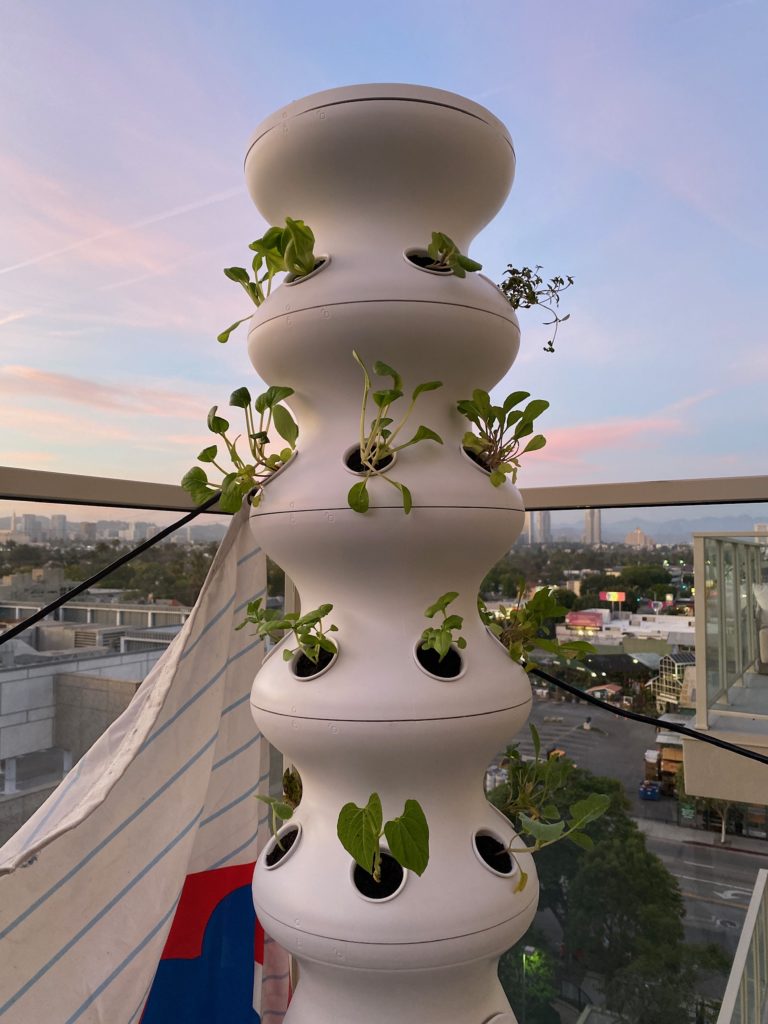 Farmstand with New Plantings