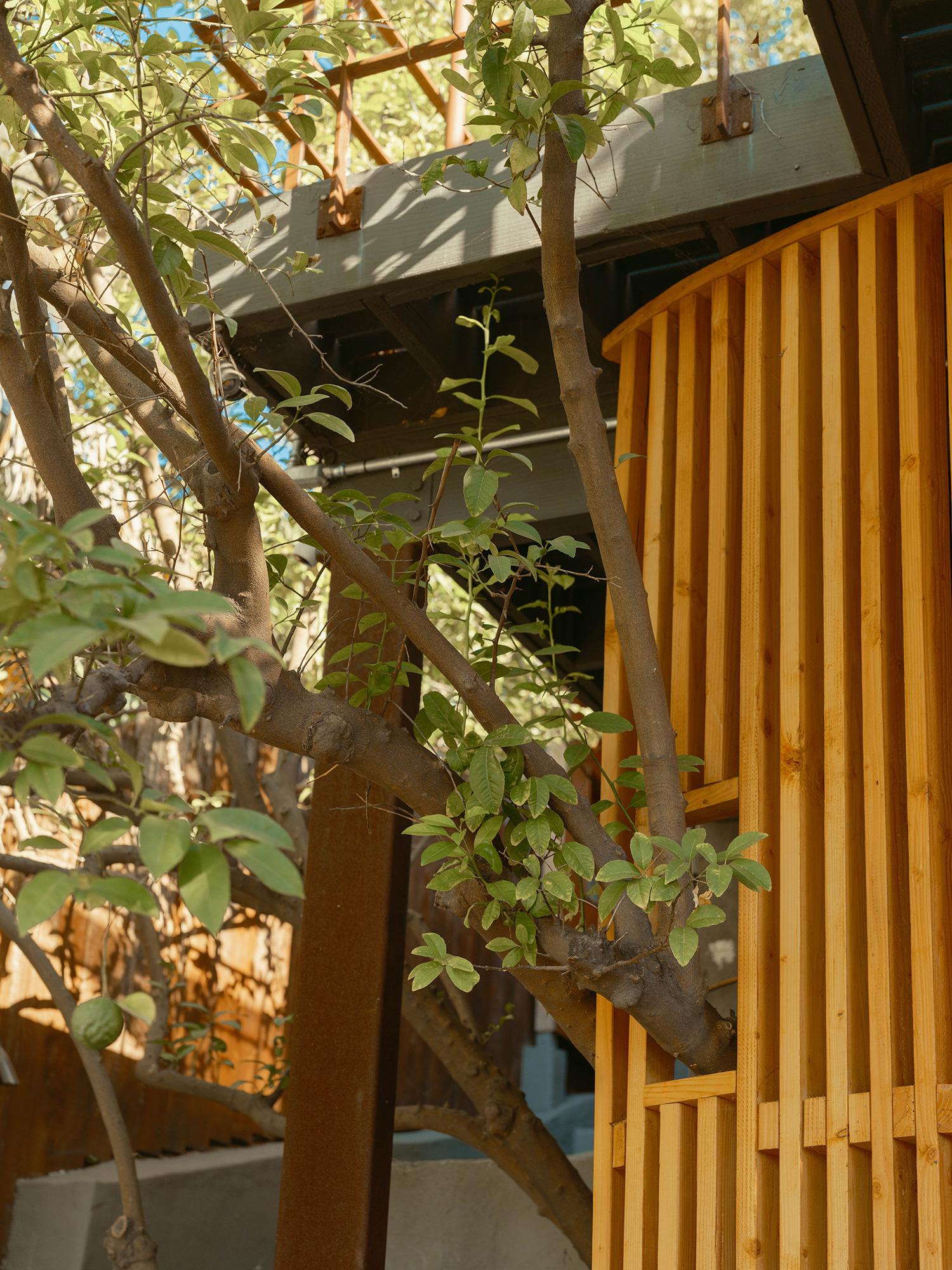 Fence in Echo Park House by OWIU