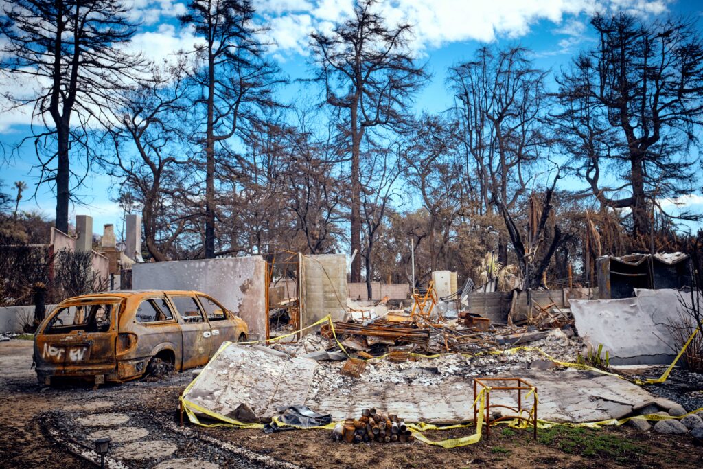 Gregory Ain Park Planned Home Devastation in Altadena