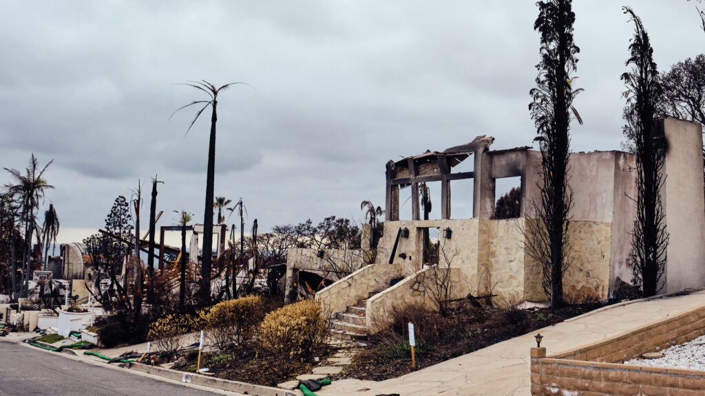 Palisades Fire Damage in Marquez Knolls