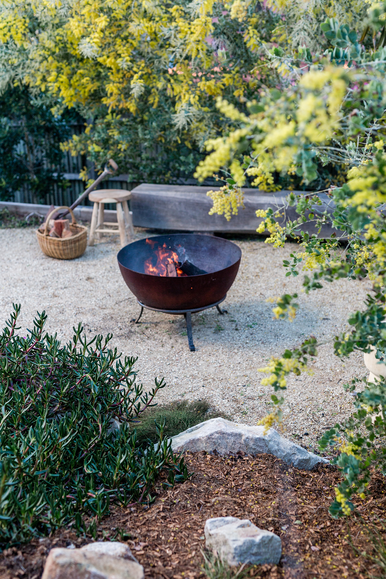 Firepit Fig Landscapes