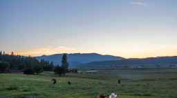 Heffernan Family at Sunset on the Ranch