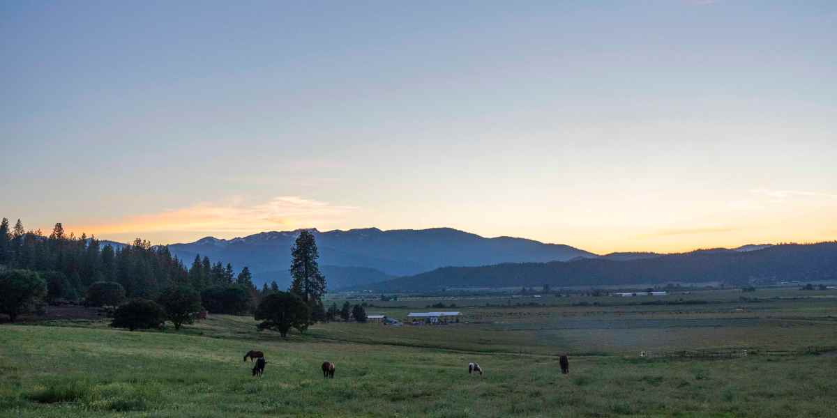 Heffernan Family at Sunset on the Ranch