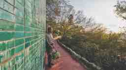 Flamingo Estate Hilltop View