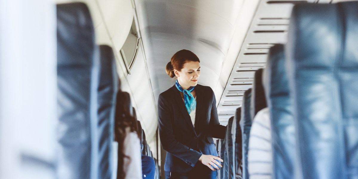 Flight Attendant on Plane