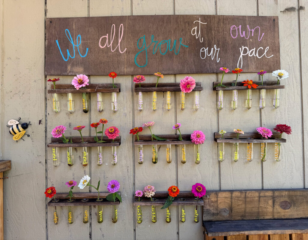 Flowers School Garden