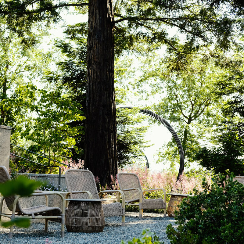 Seating Under Redwood