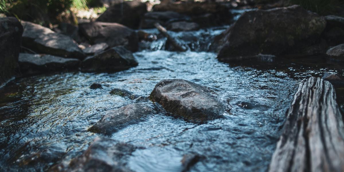 People Crossing a River