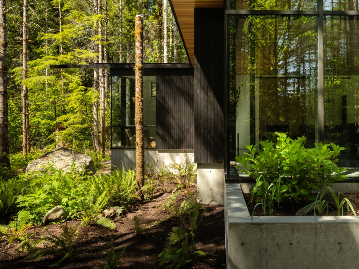 Small Shade Garden Bed