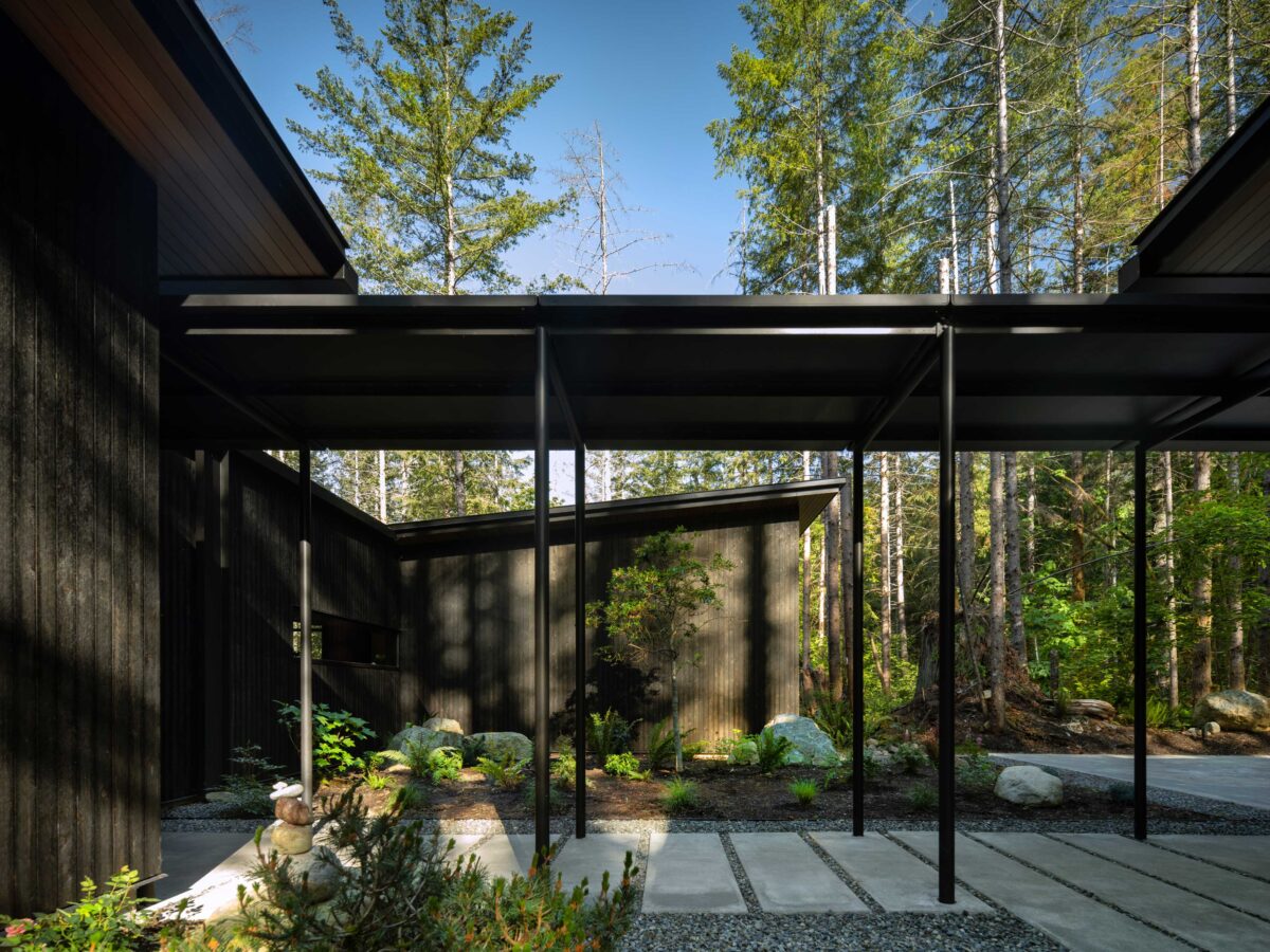 Shade Garden Patch of Greenery