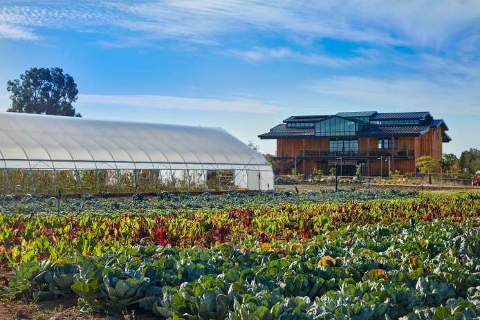 Fox Point Farms Harvest Market