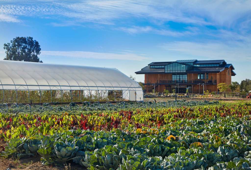 Why Your Next Family Trip Should Be to This Charming (and Luxe) San Diego Farm